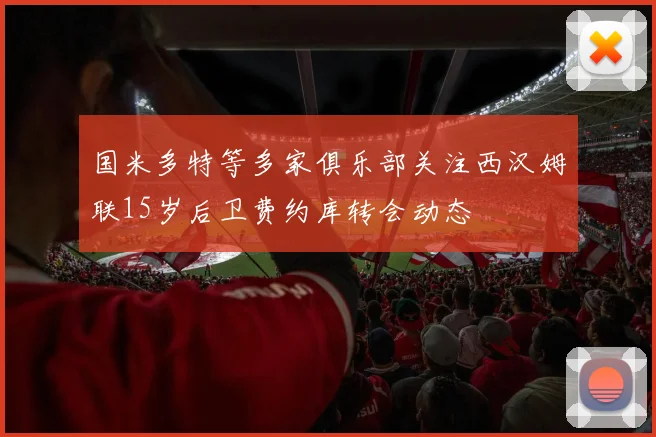 国米多特等多家俱乐部关注西汉姆联15岁后卫费约库转会动态