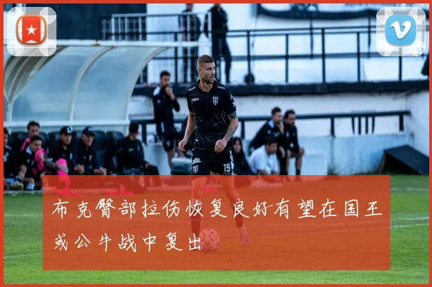 布克臀部拉伤恢复良好有望在国王或公牛战中复出