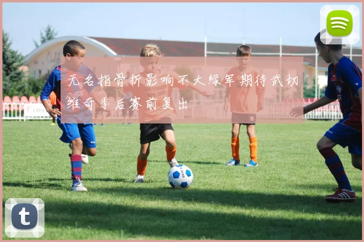 无名指骨折影响不大绿军期待武切维奇季后赛前复出