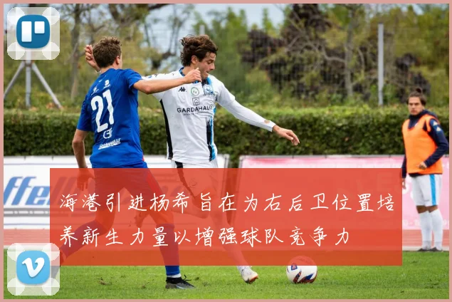 海港引进杨希旨在为右后卫位置培养新生力量以增强球队竞争力