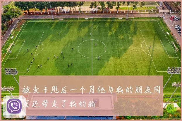 被麦卡甩后一个月他与我的朋友同居还带走了我的狗